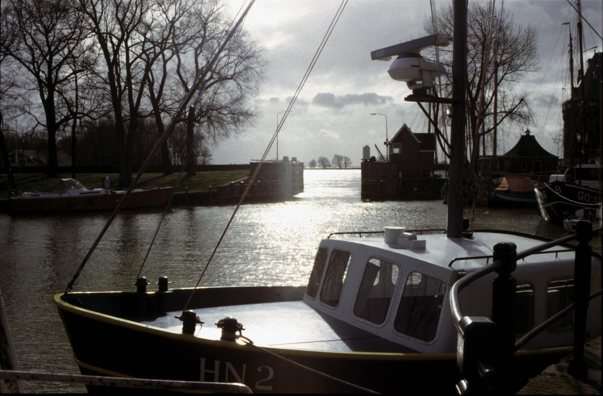 Hoorn