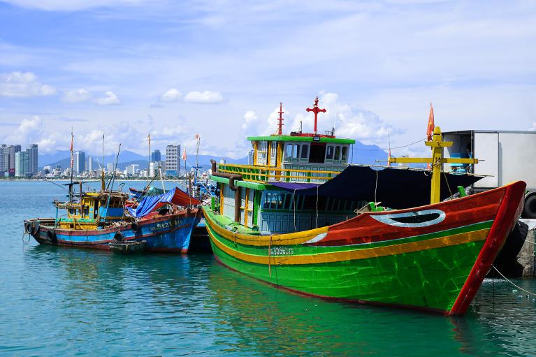 Viet Nam