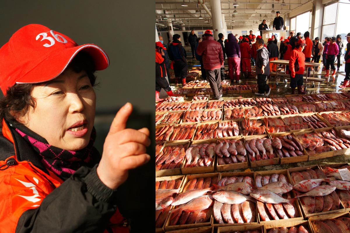 Criée aux poissons sur l'île de Wando