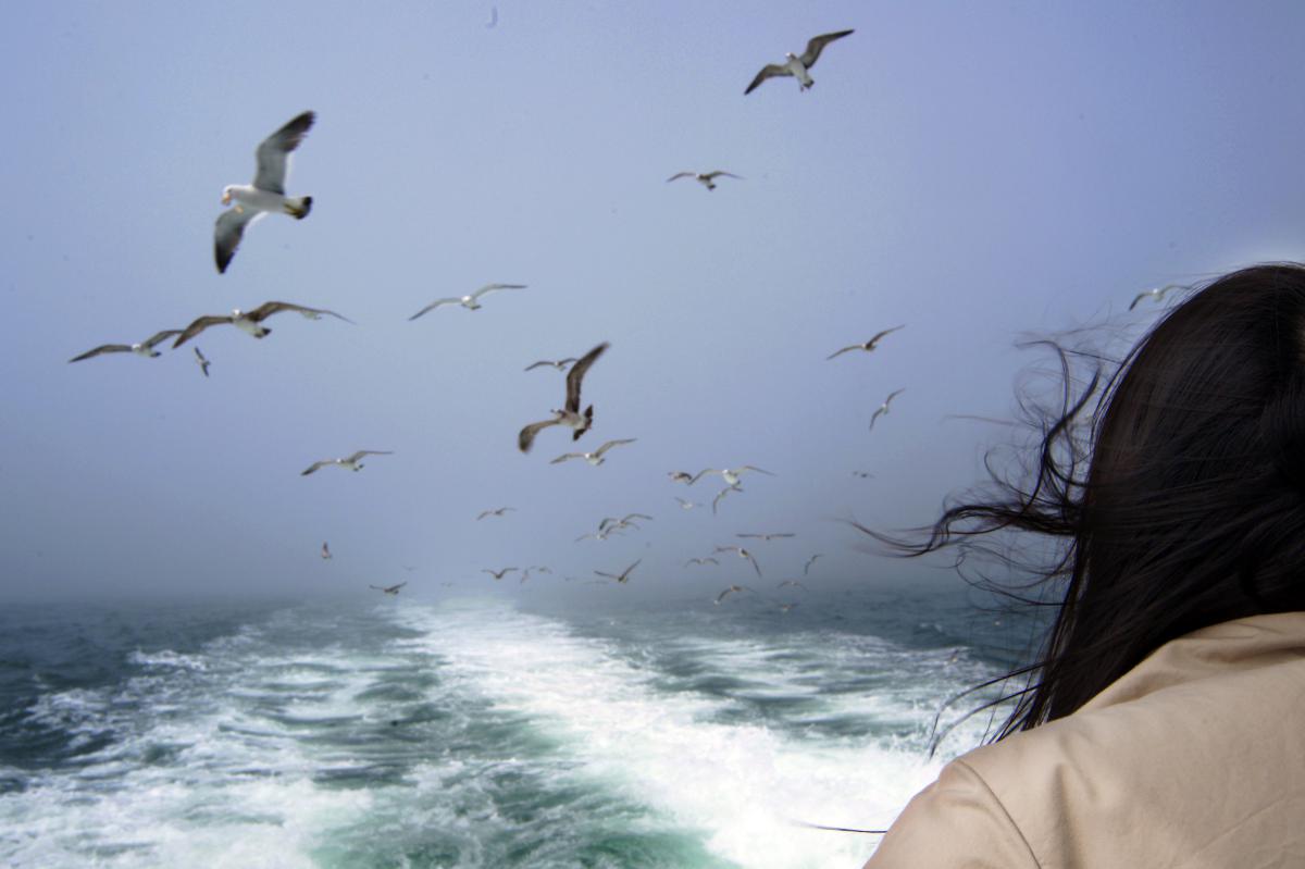 En ferry, vers l'île de Seonuido