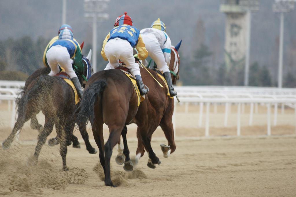 Départ de course KRA