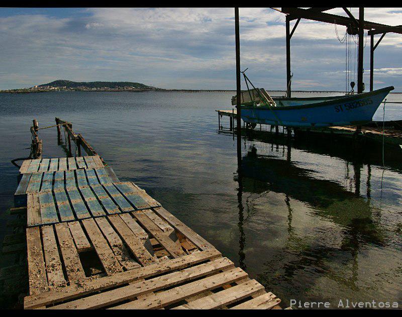 Sur les rives de Thau