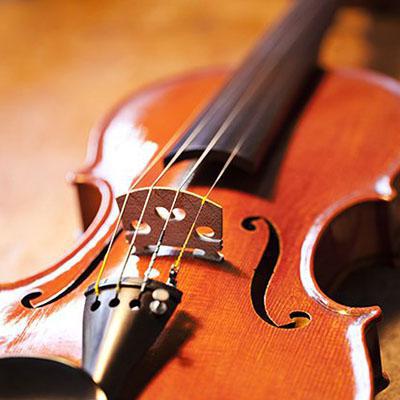 Violon