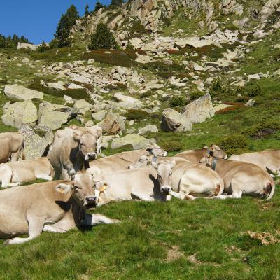 Portrait de famille