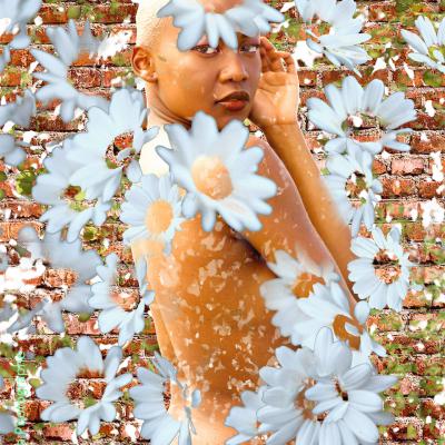Avant d'effeuiller la marguerite