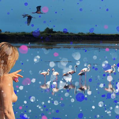 En Camargue (inspiré d'une photographie réalisée par Chris Tine)