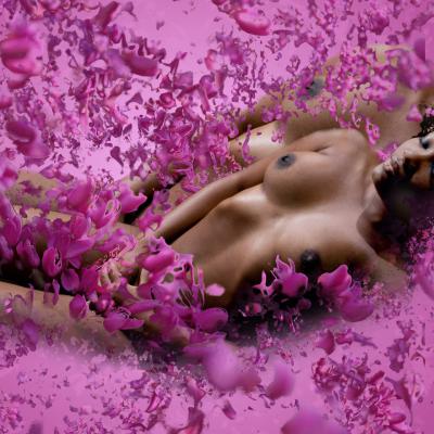 Dolly et ses rêves fleuris
