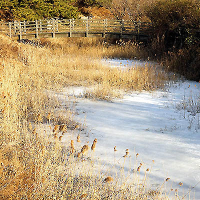 Rivière gelée