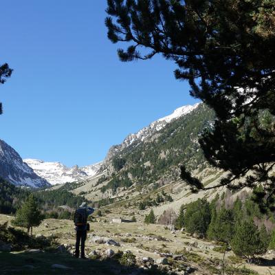 Arrivée sur le pla de l'Orri - 1800 m par un petit bout du GR10
