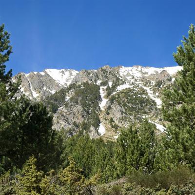Le pic du Roc del Boc - 2779 m