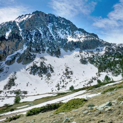 Sous le Pic Rodò 2520 m, au Sud. Au dessus de 2100, la végétation se fait rare.